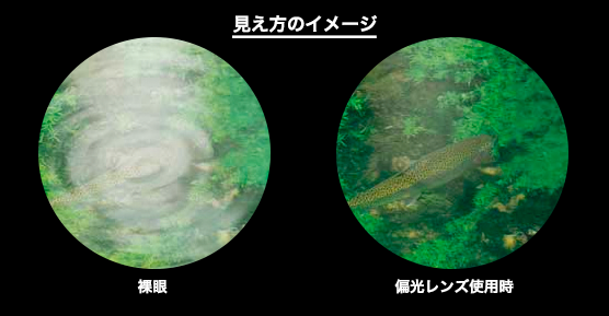 見え方のイメージ